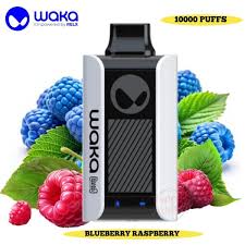 WAKA SOPRO 10000 PUFFS 5%