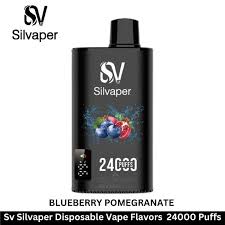 SILVAPER 24000 PUFFS 2%